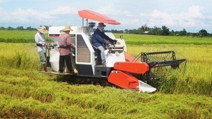 Traktor EF494T Agricultural Equipment rental Manado